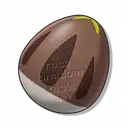 Nutchi Egg icon