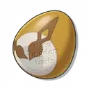 Tickoo Egg icon