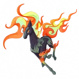 Zong portrait